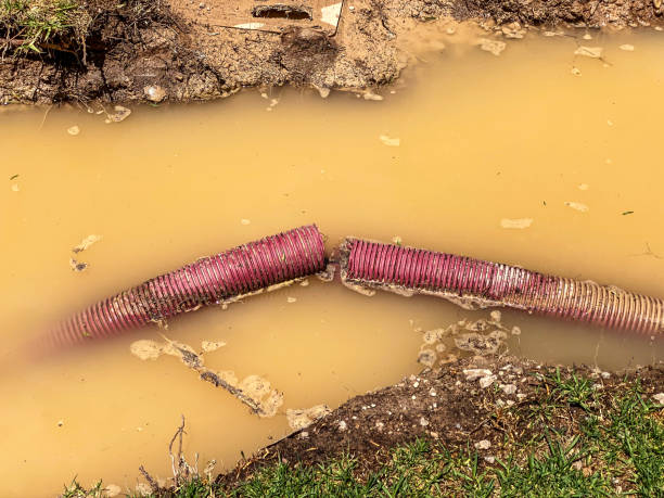 Best Basement Water Damage Restoration in Labasas, CA